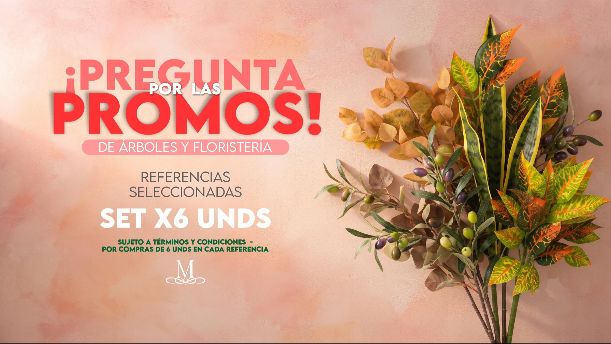 PROMO FLORISTERÍA