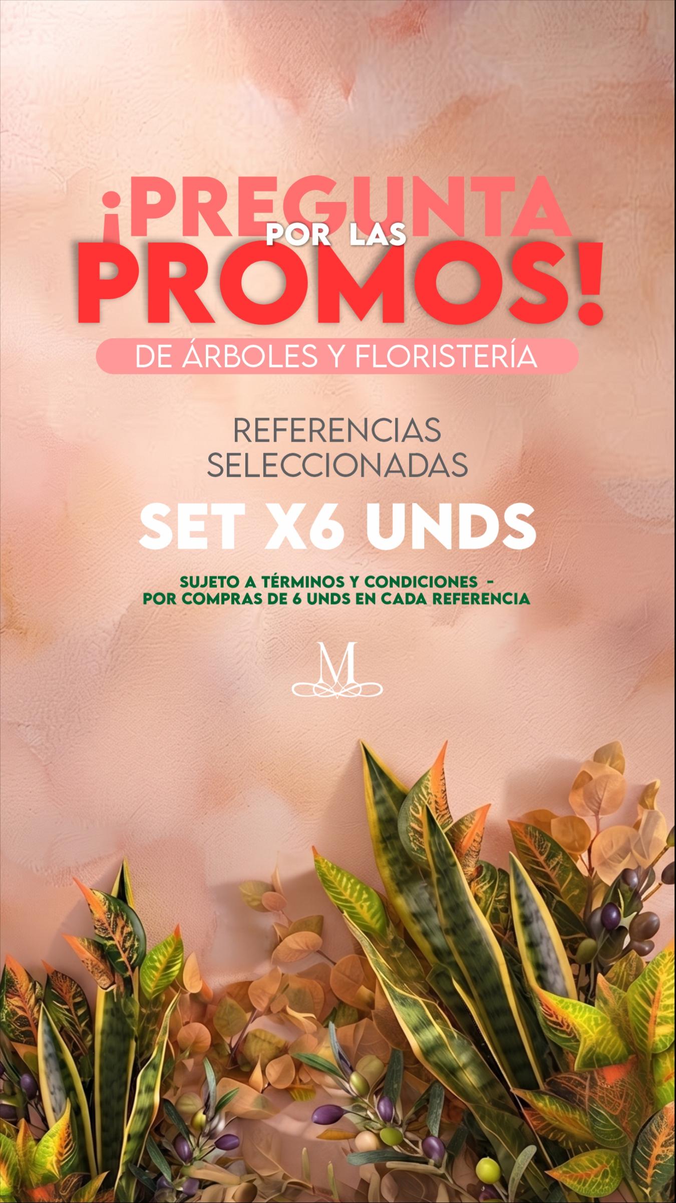 PROMO FLORISTERÍA