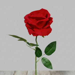 ROSAS DEL JARDÍN_1