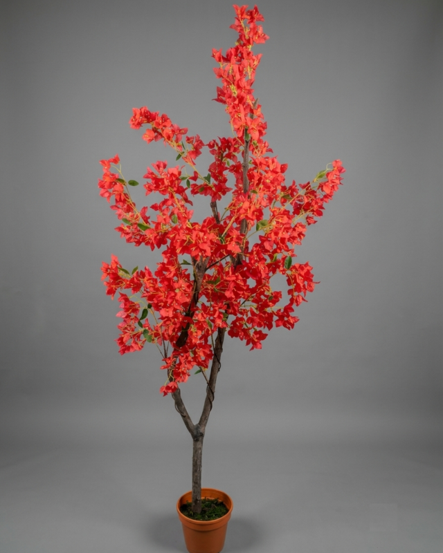 ÁRBOL TRINITARIO ROJO 180CM_1