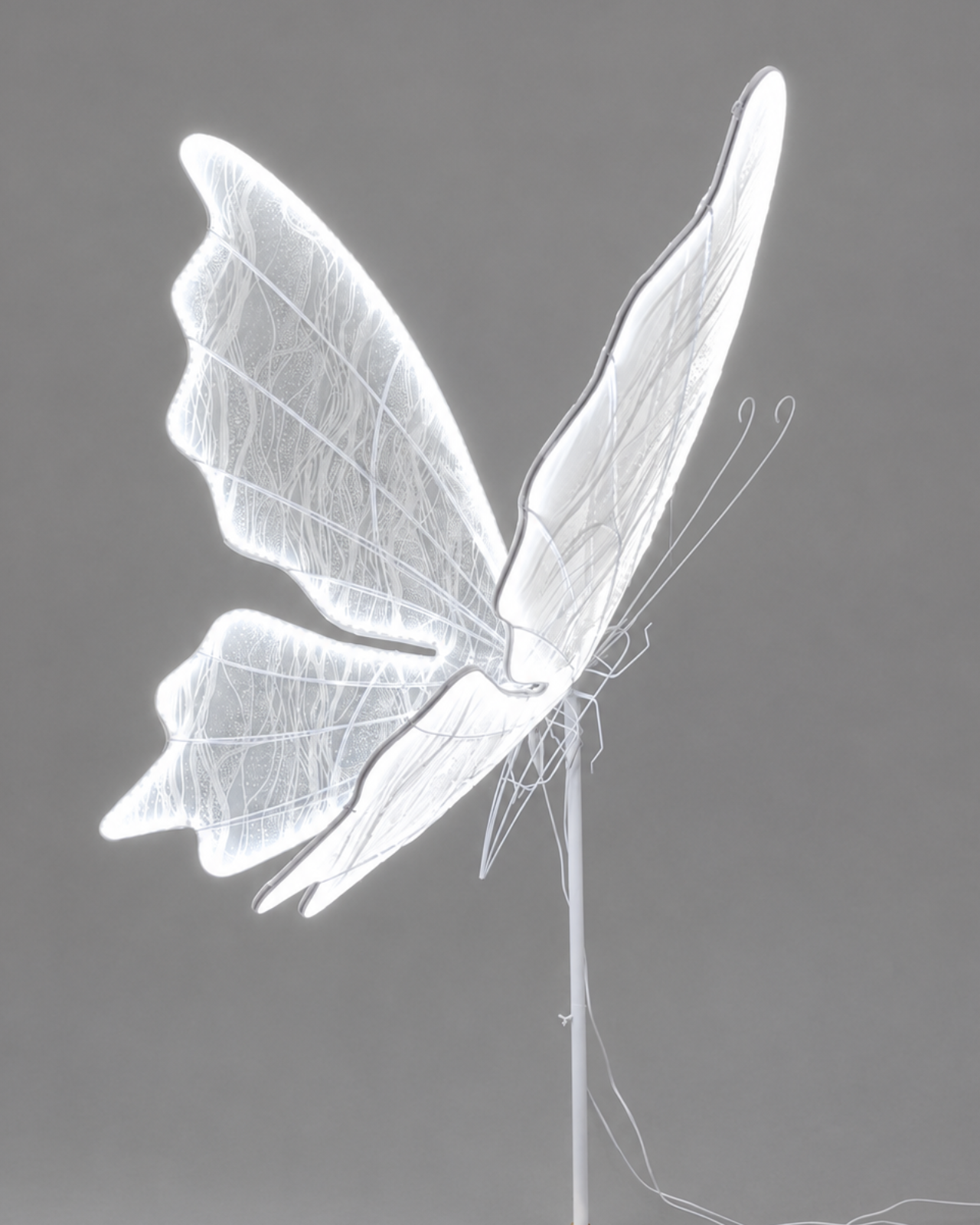 MARIPOSA METALICA ISABELINA - MarkoRegalos