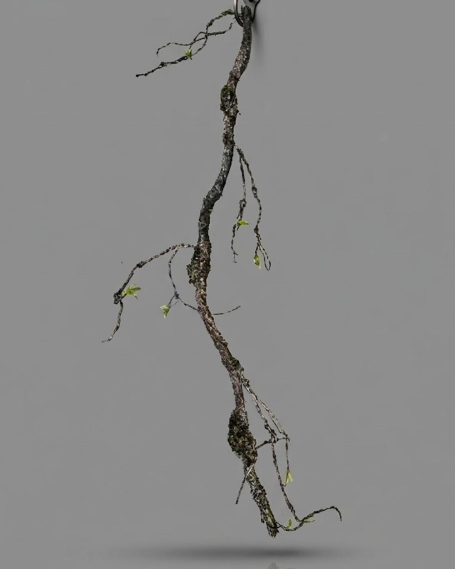CHAMIZO FLEXIBLE_1