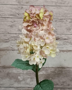 FLOR HORTENSIA PANÍCULA_4