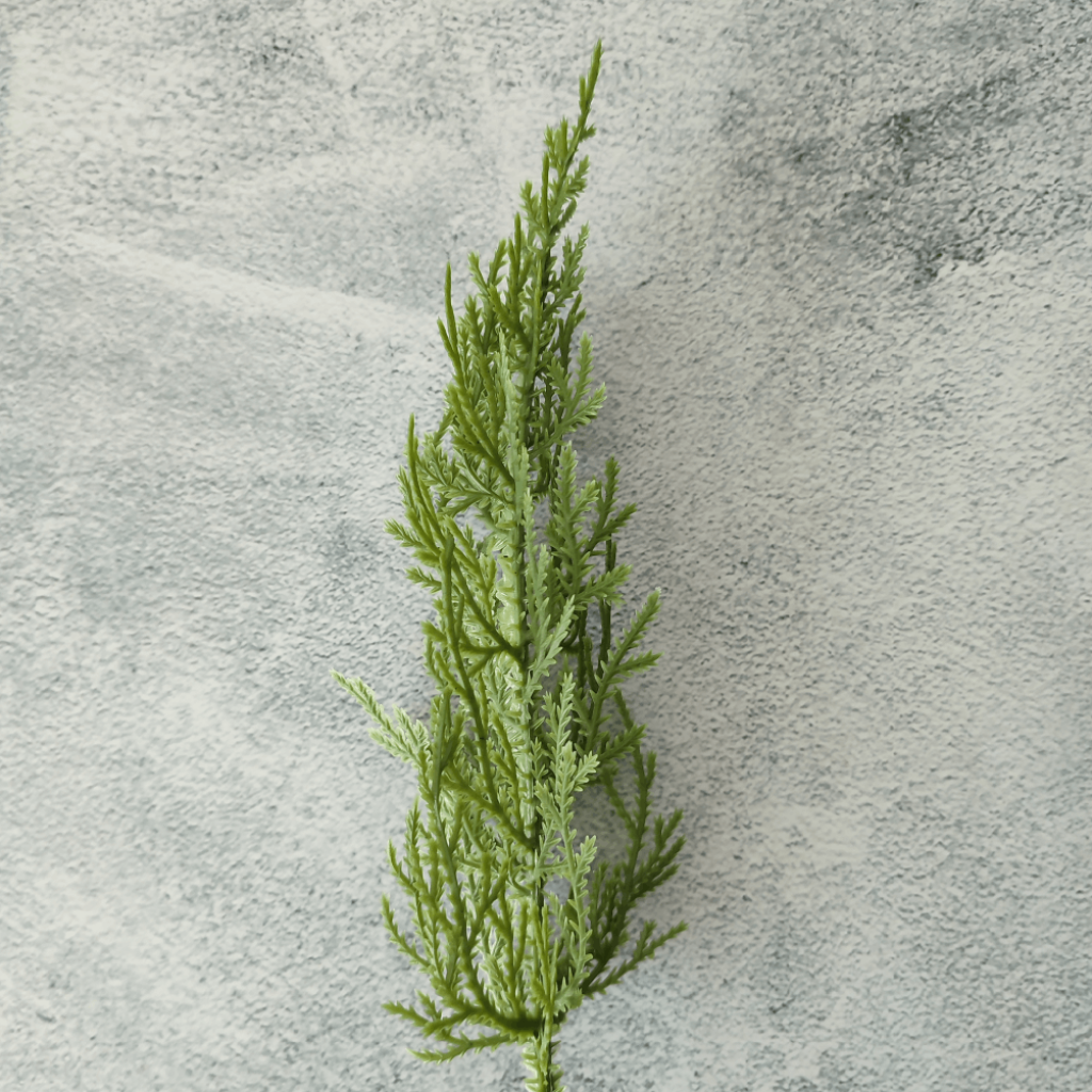 RAMA PINO TAMAJA  X PAQUETE - MarkoRegalos