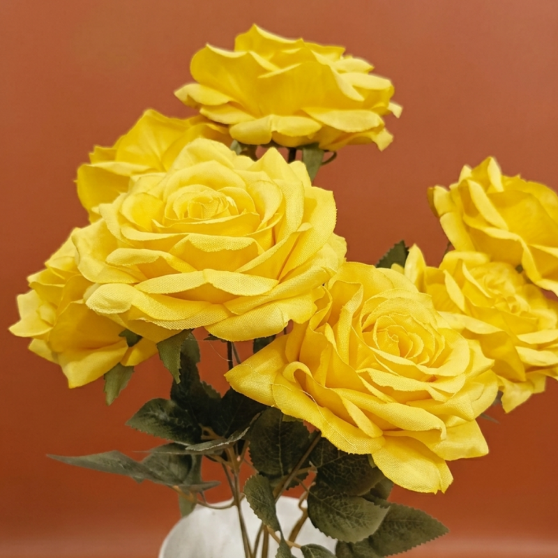 ROSA DEL JARDIN X6_4