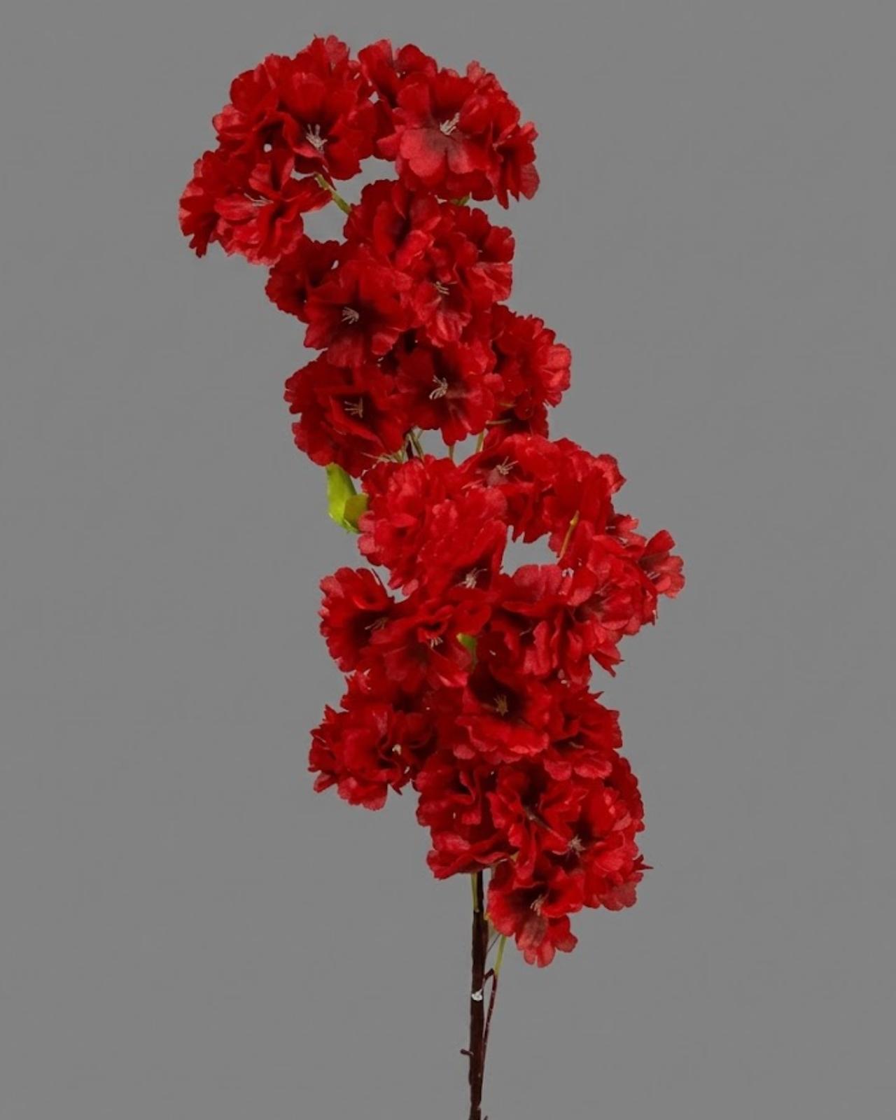 RAMA DE CEREZO_4