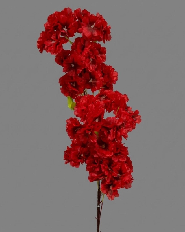 RAMA DE CEREZO_4
