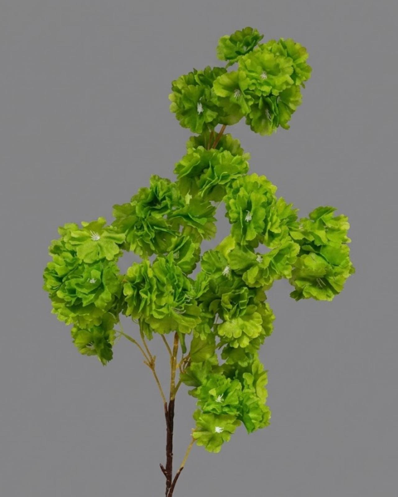 RAMA DE CEREZO_3