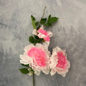 FLOR SARA _2