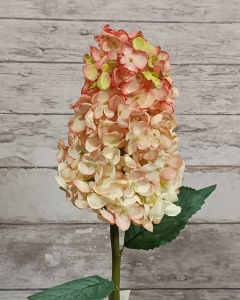 FLOR HORTENSIA PANÍCULA_2