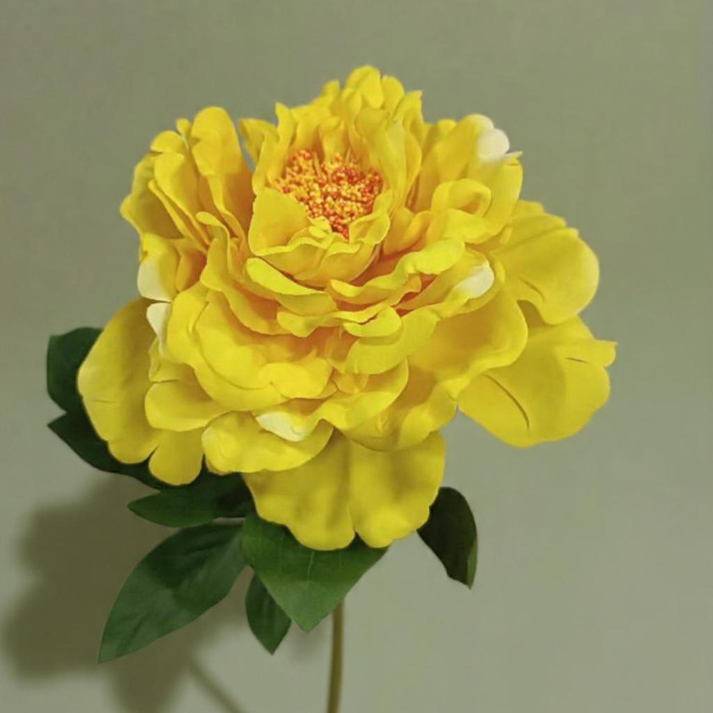 ROSA  PEONIA - MarkoRegalos