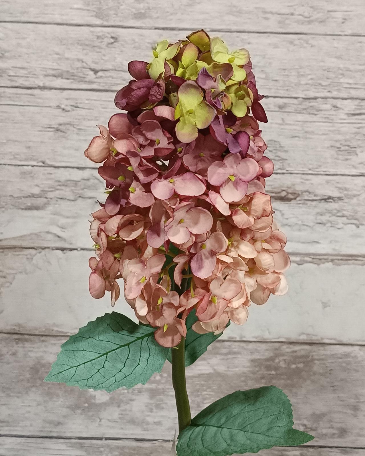 FLOR HORTENSIA PANÍCULA_6
