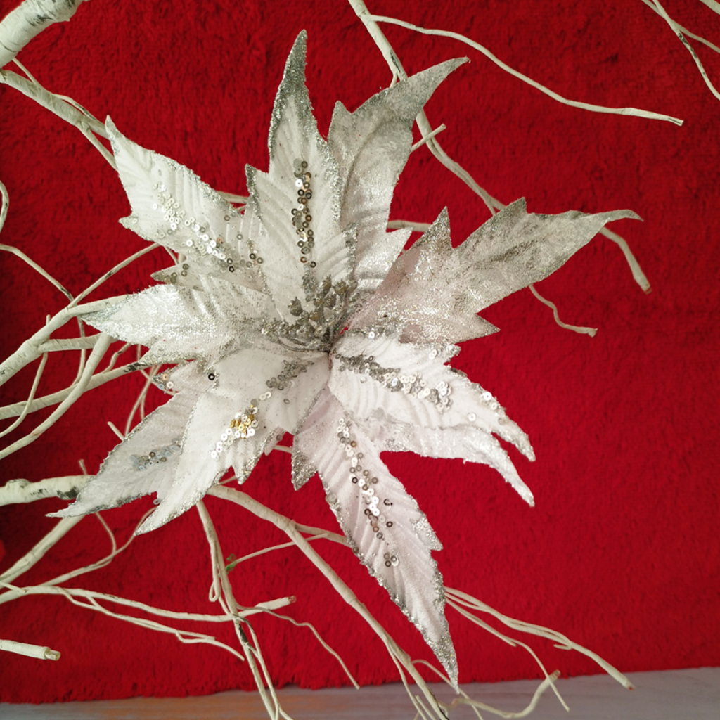 PONSETIA PLATEADA_1