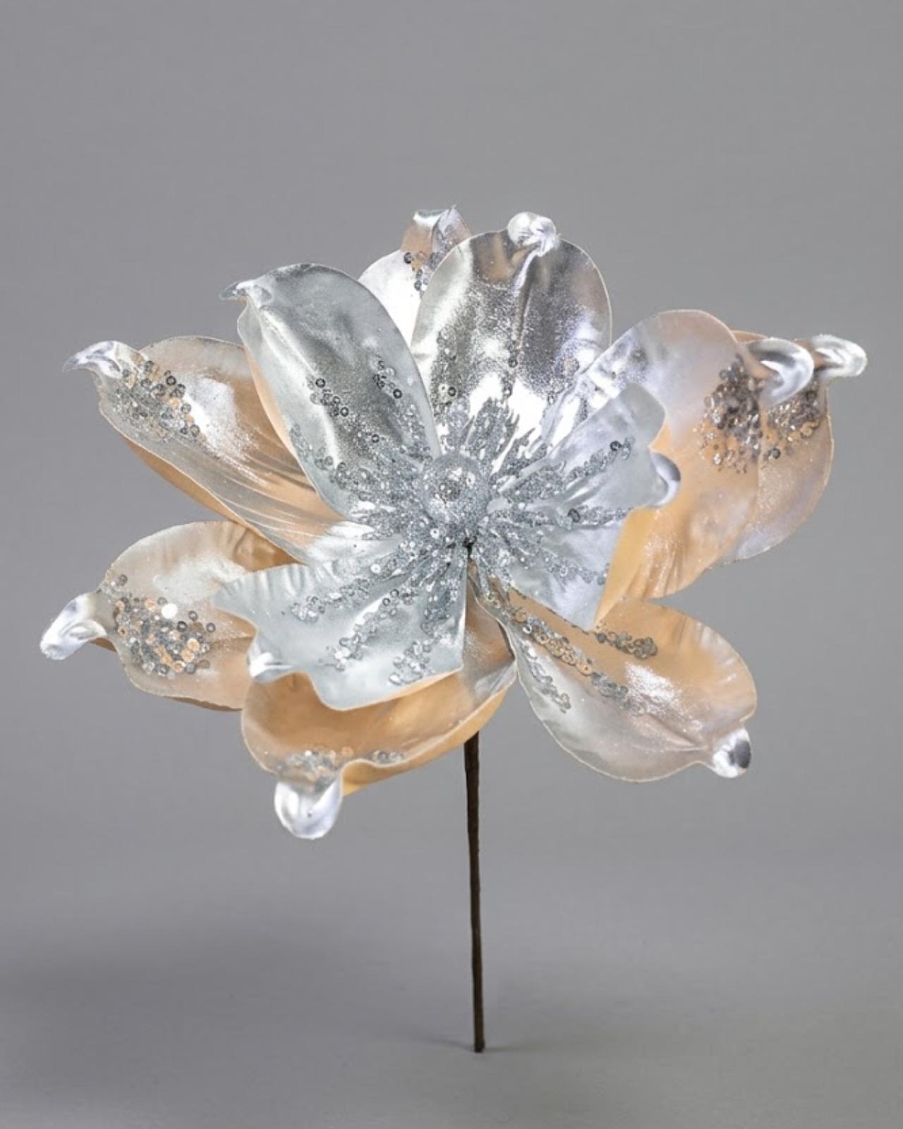 MAGNOLIA PLATA_1