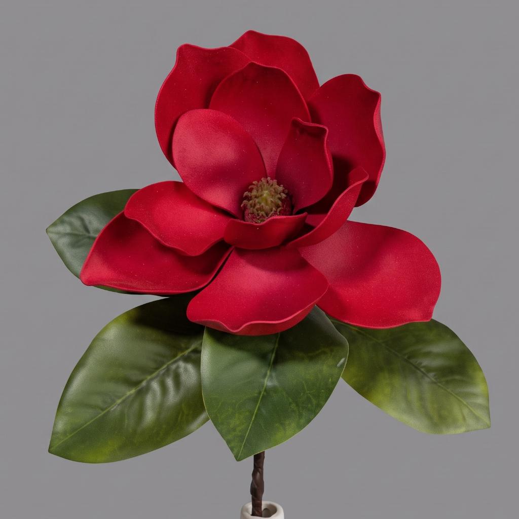 RAMA MAGNOLIA_1