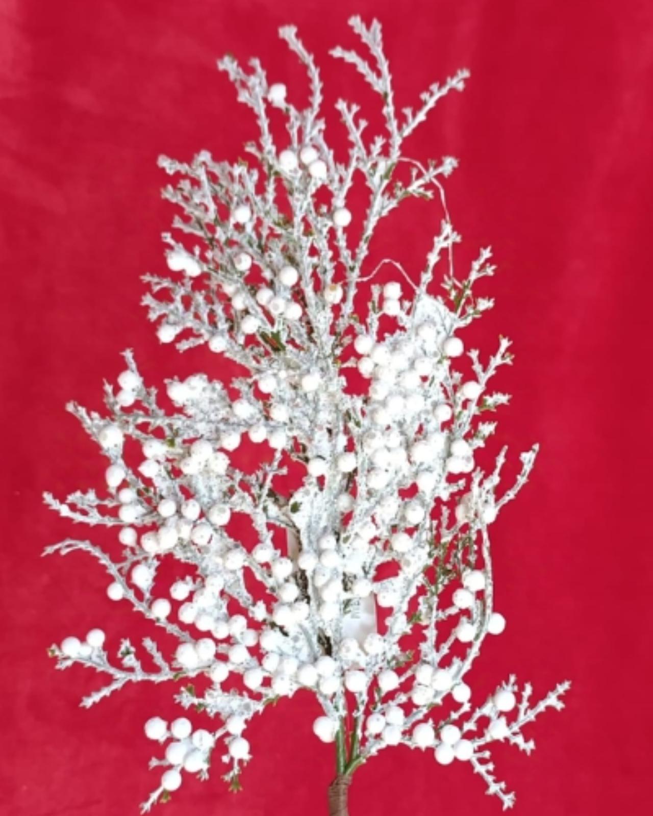 RAMA PINO NIEVE_1