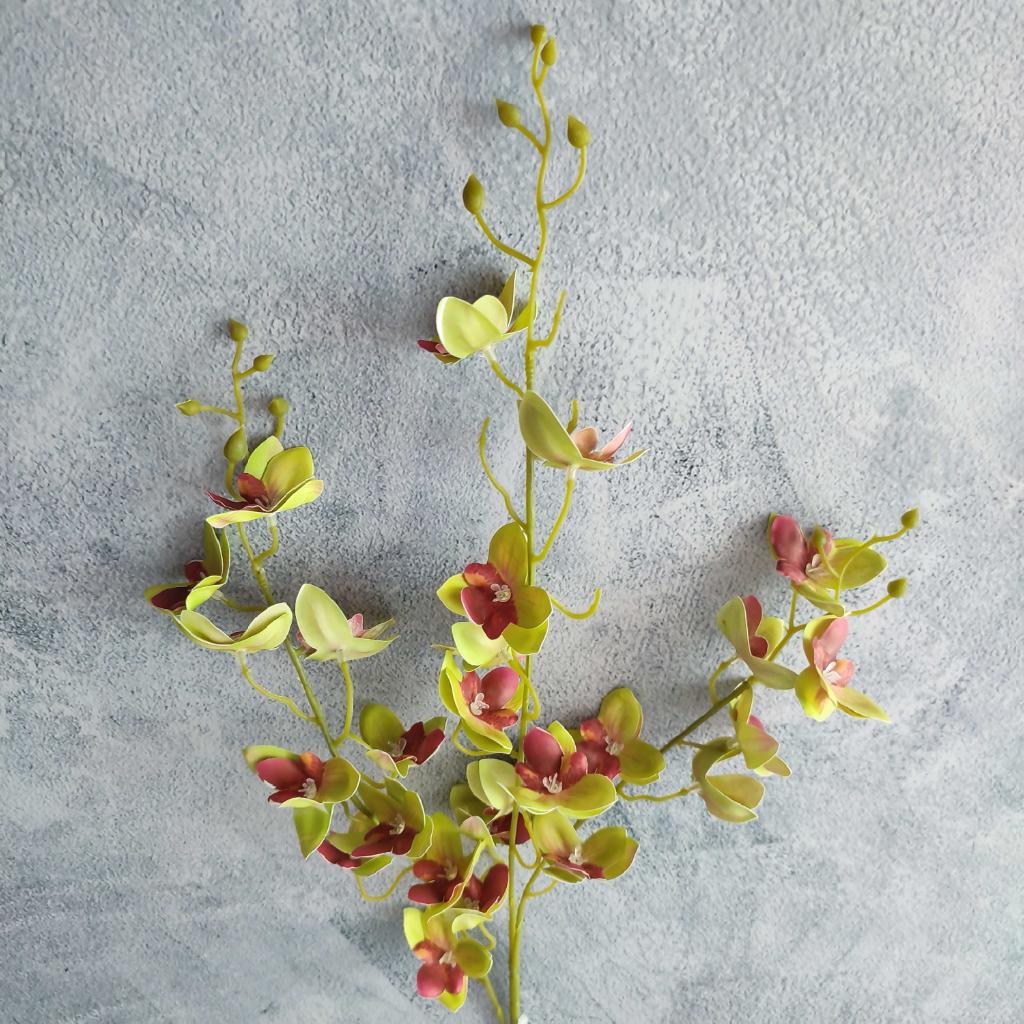 FLOR ORQUIDEA SILVESTRE  - MarkoRegalos