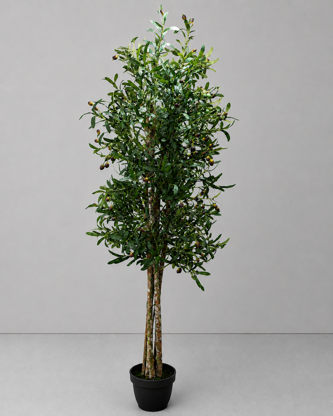 ÁRBOL DE OLIVO 240CM - MarkoRegalos