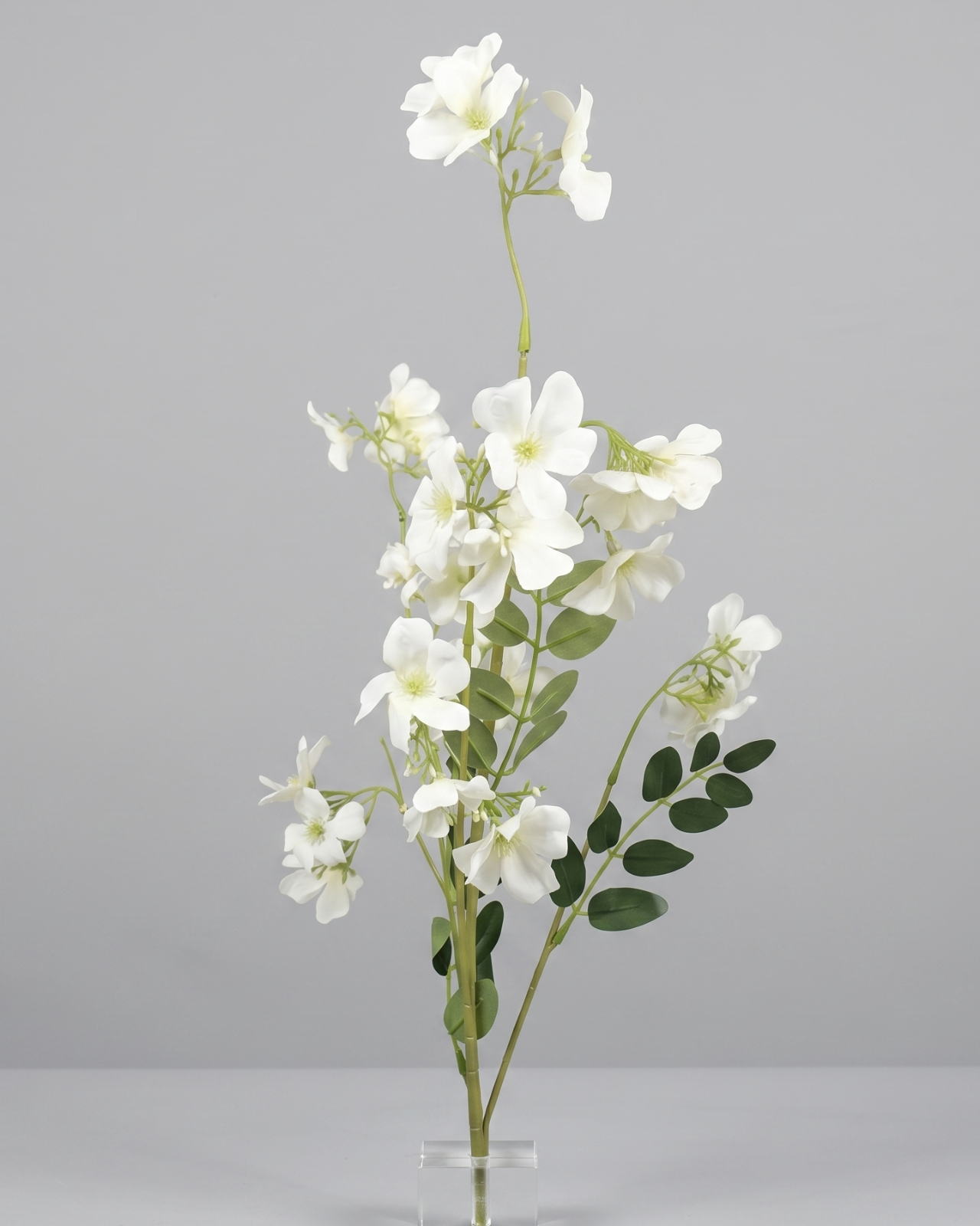 RAMA FLORAL BLOSSOM_2