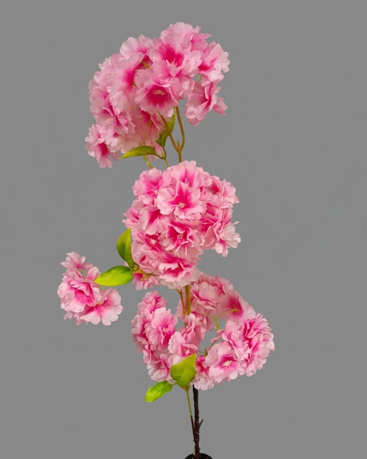 RAMA DE CEREZO_5
