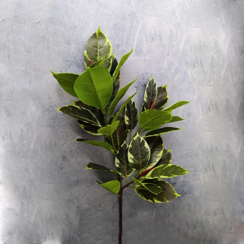 RAMA CITADEL - MarkoRegalos