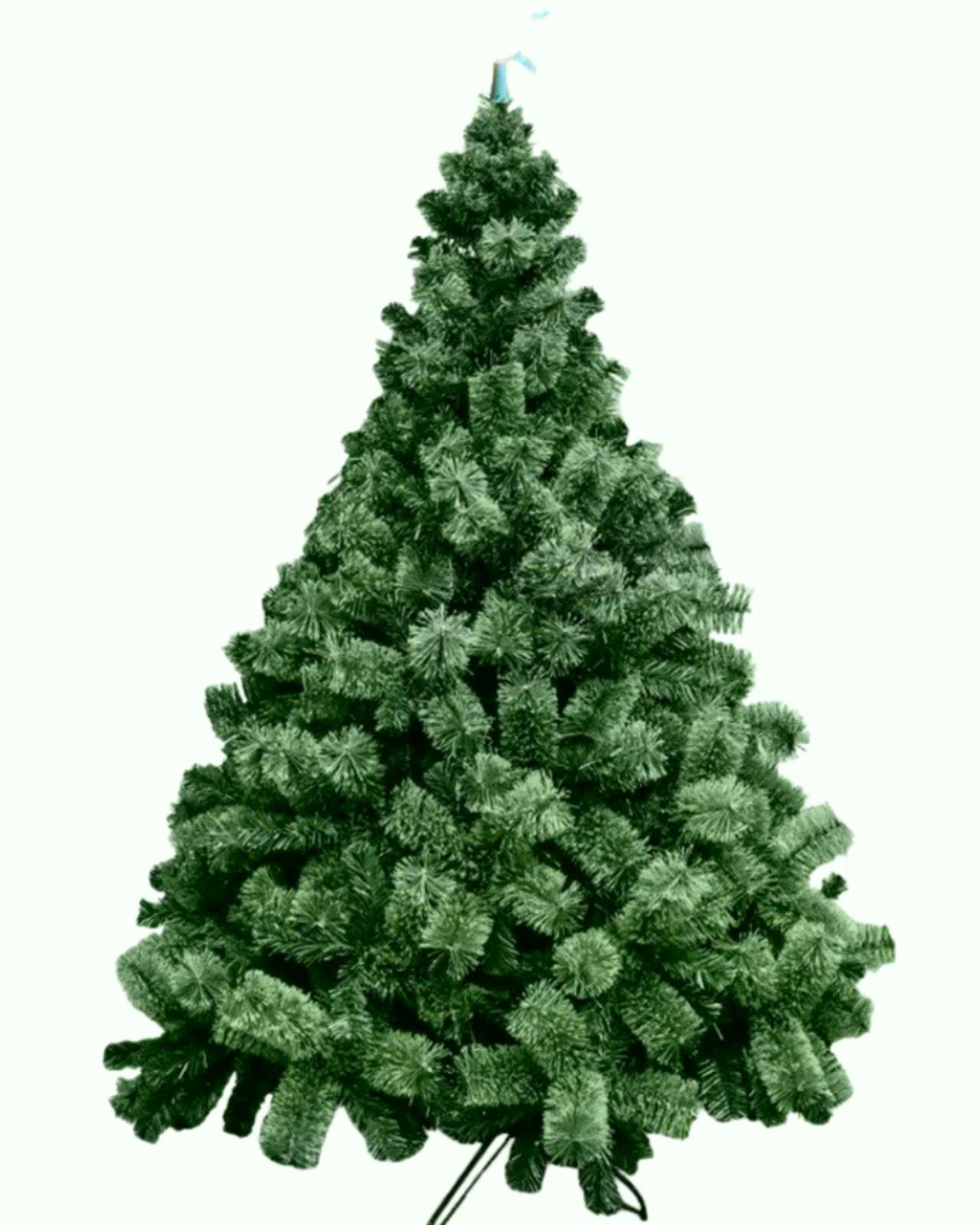 ÁRBOL VERONA_1