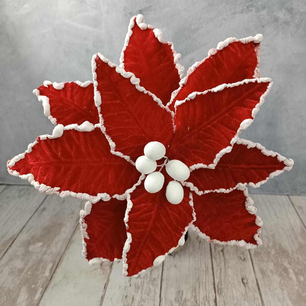 FLOR PONSETTIA PASTORA - MarkoRegalos