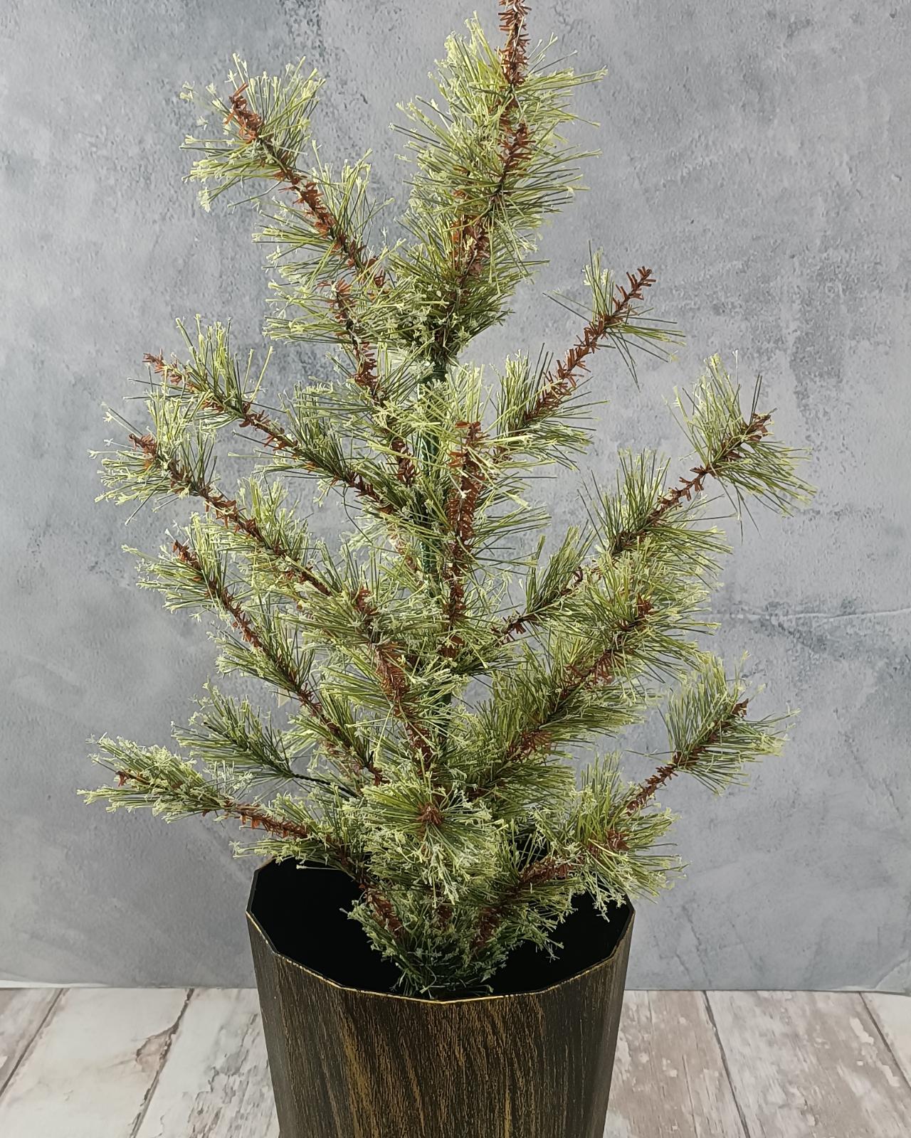 ARBOL PINO VERDE_1