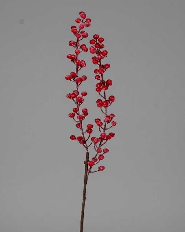 RAMA BERRY NIEVE_1