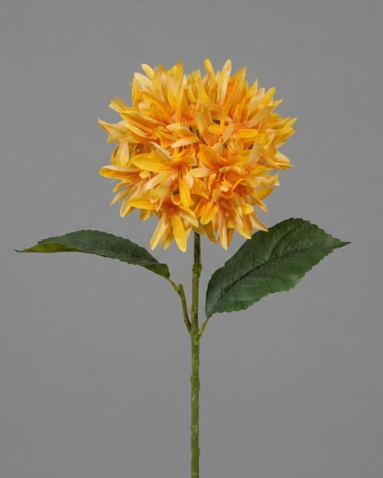 FLOR CRISANTEMOS_1
