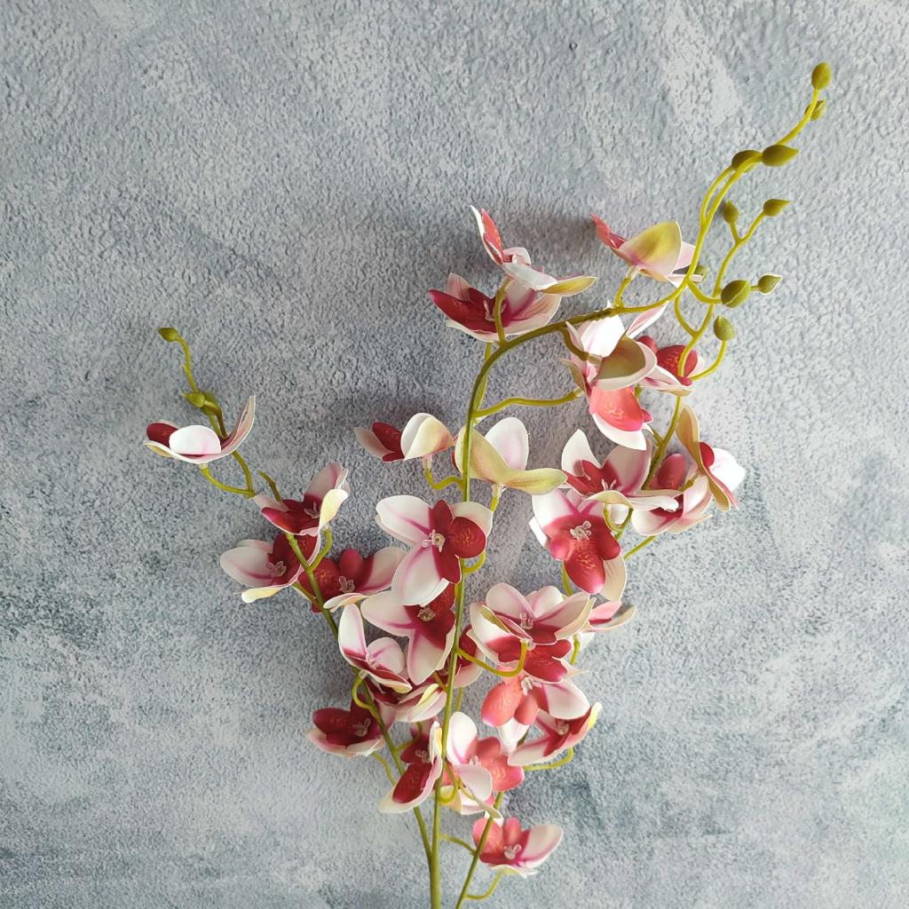 FLOR ORQUIDEA SILVESTRE _2