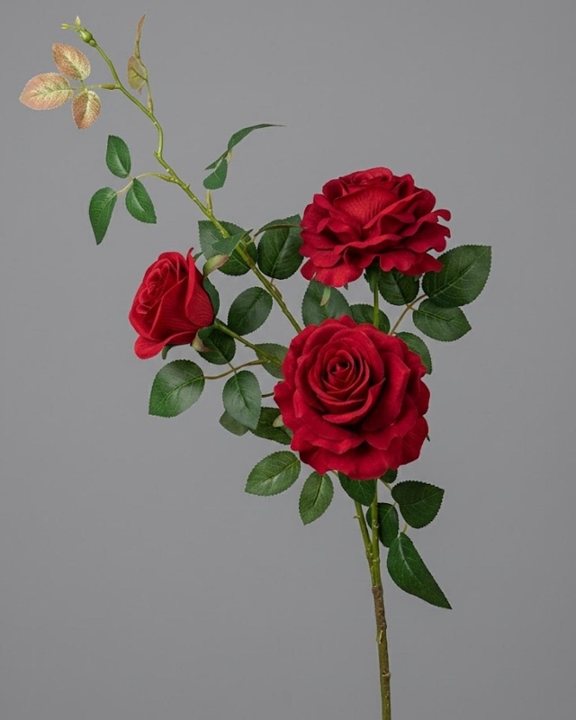 RAMA DE TRES ROSAS_1