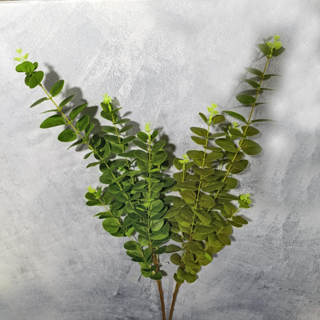 RAMA  ALBA - MarkoRegalos