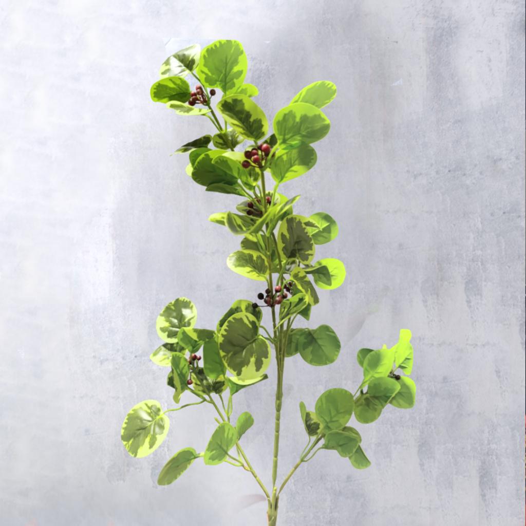 RAMA HIEDRA  - MarkoRegalos