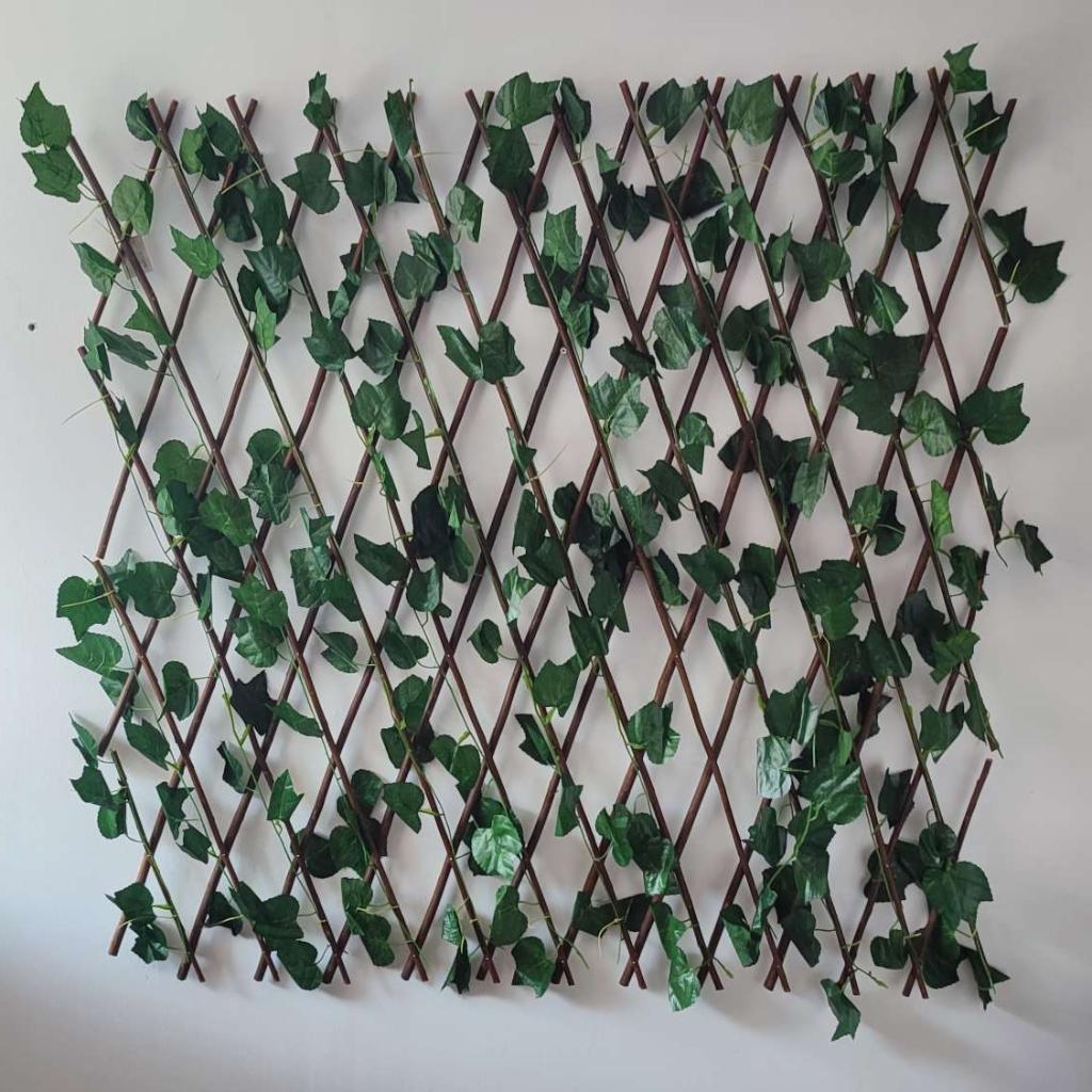 BIOMBO POISON IVY 120CM_2