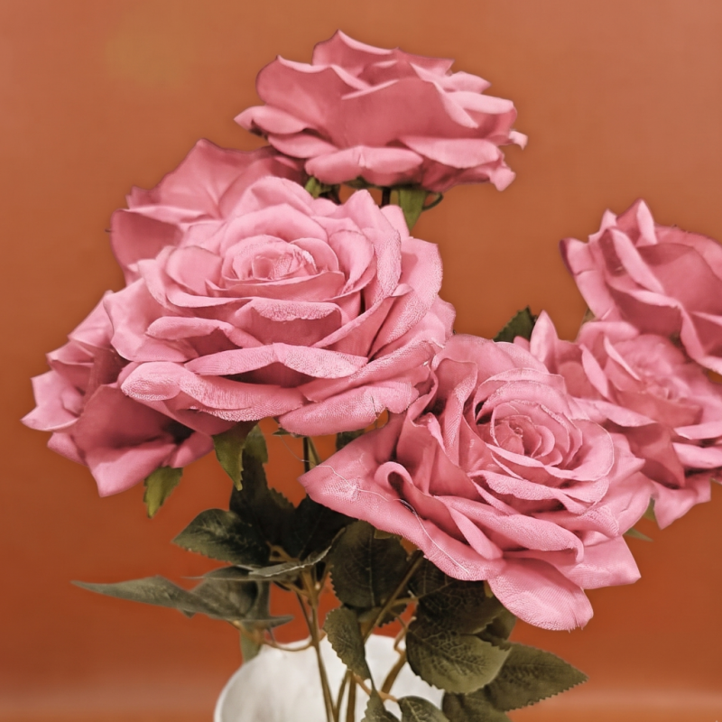 ROSA DEL JARDIN X6_3