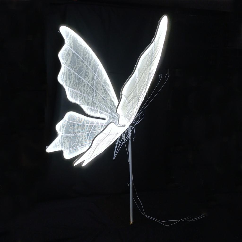 MARIPOSA METALICA ISABELINA_1