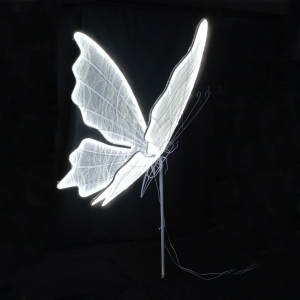 MARIPOSA METALICA ISABELINA_1