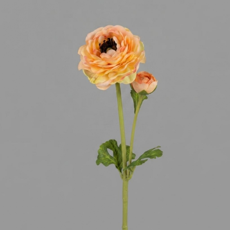 FLOR PEONIA_2