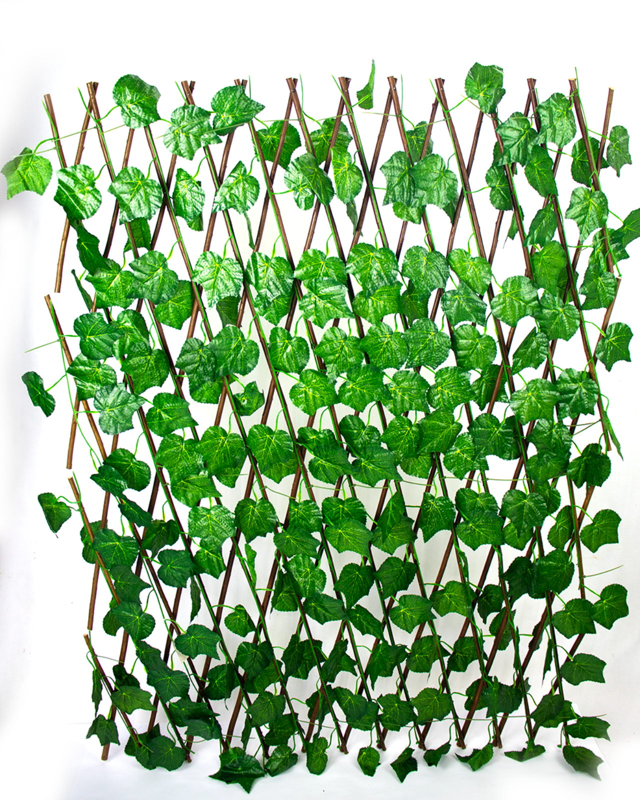 BIOMBO POISON IVY 120CM_1