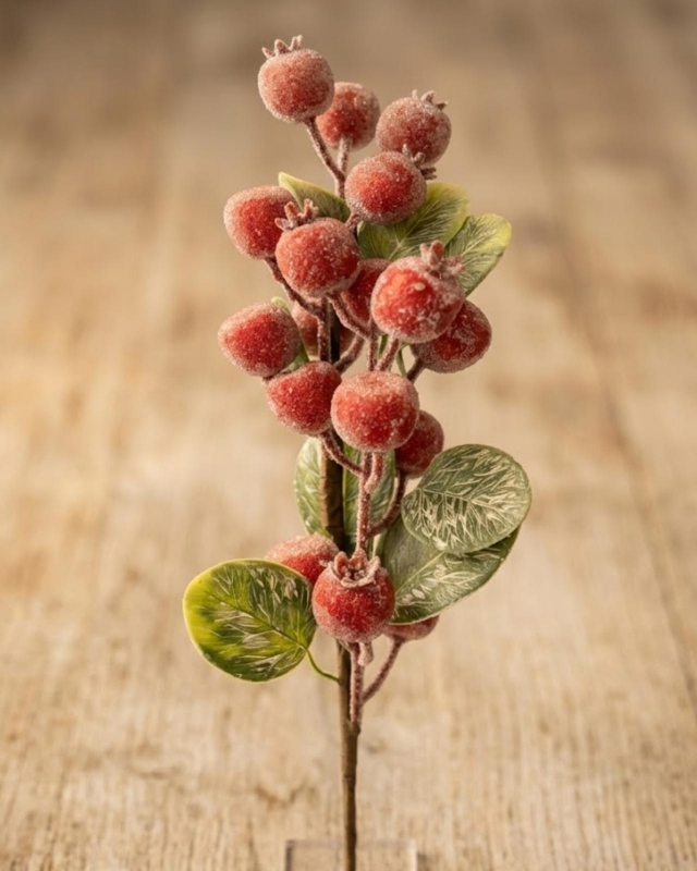RAMA BERRY ROJO _1