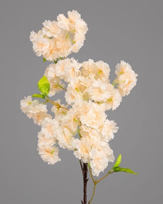 RAMA DE CEREZO_7