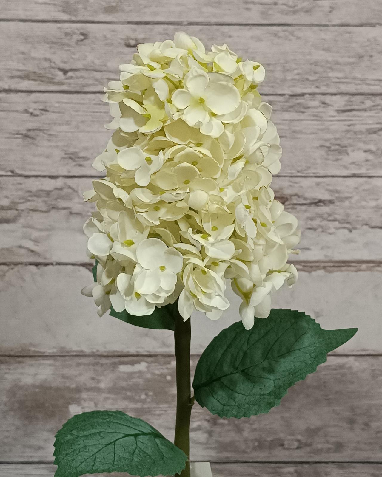 FLOR HORTENSIA PANÍCULA_5
