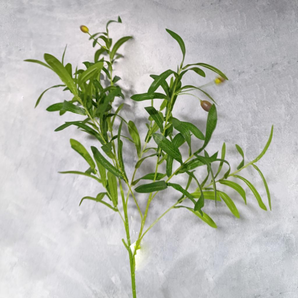 RAMA OLIVO  - MarkoRegalos