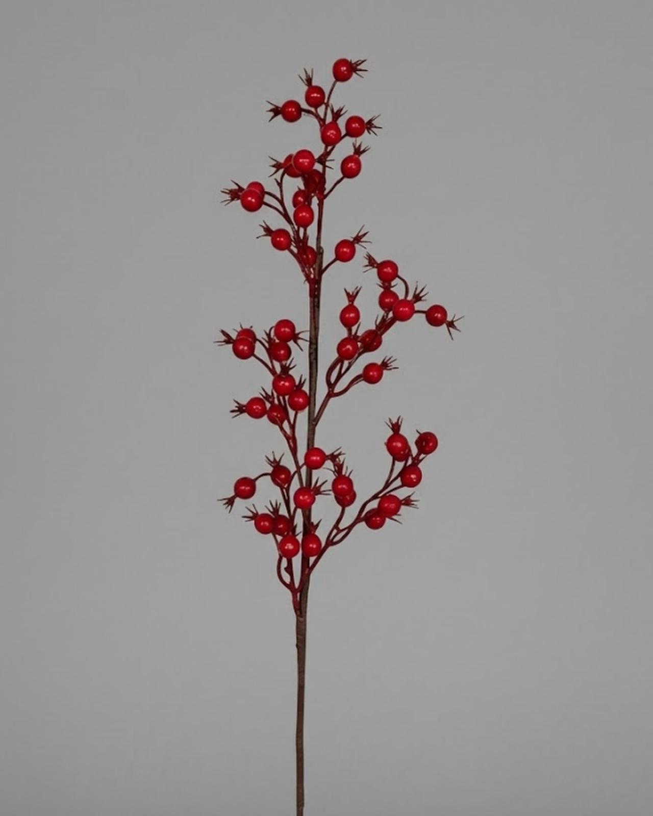 RAMA BERRIES_1
