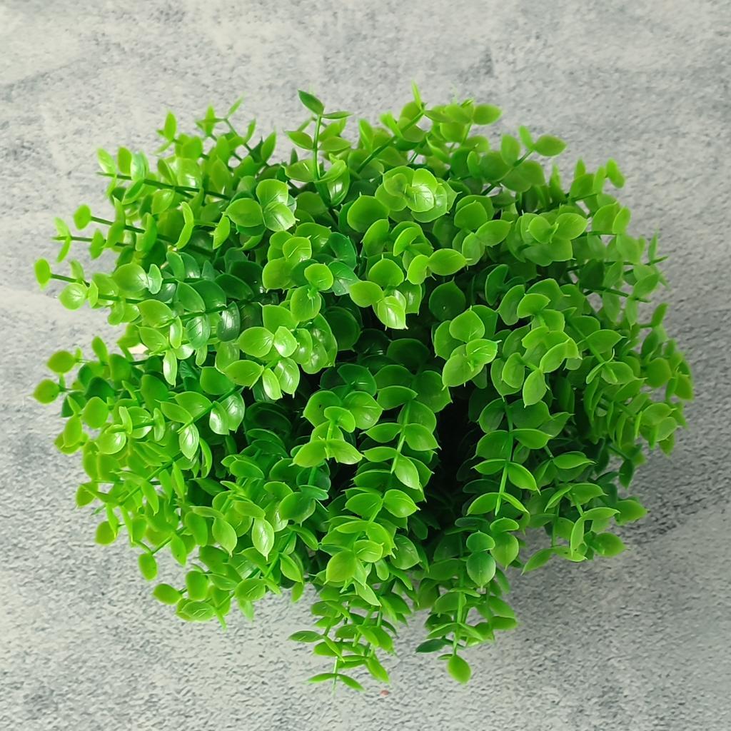 PLANTA ARTICIAL SOLEILLIA_1