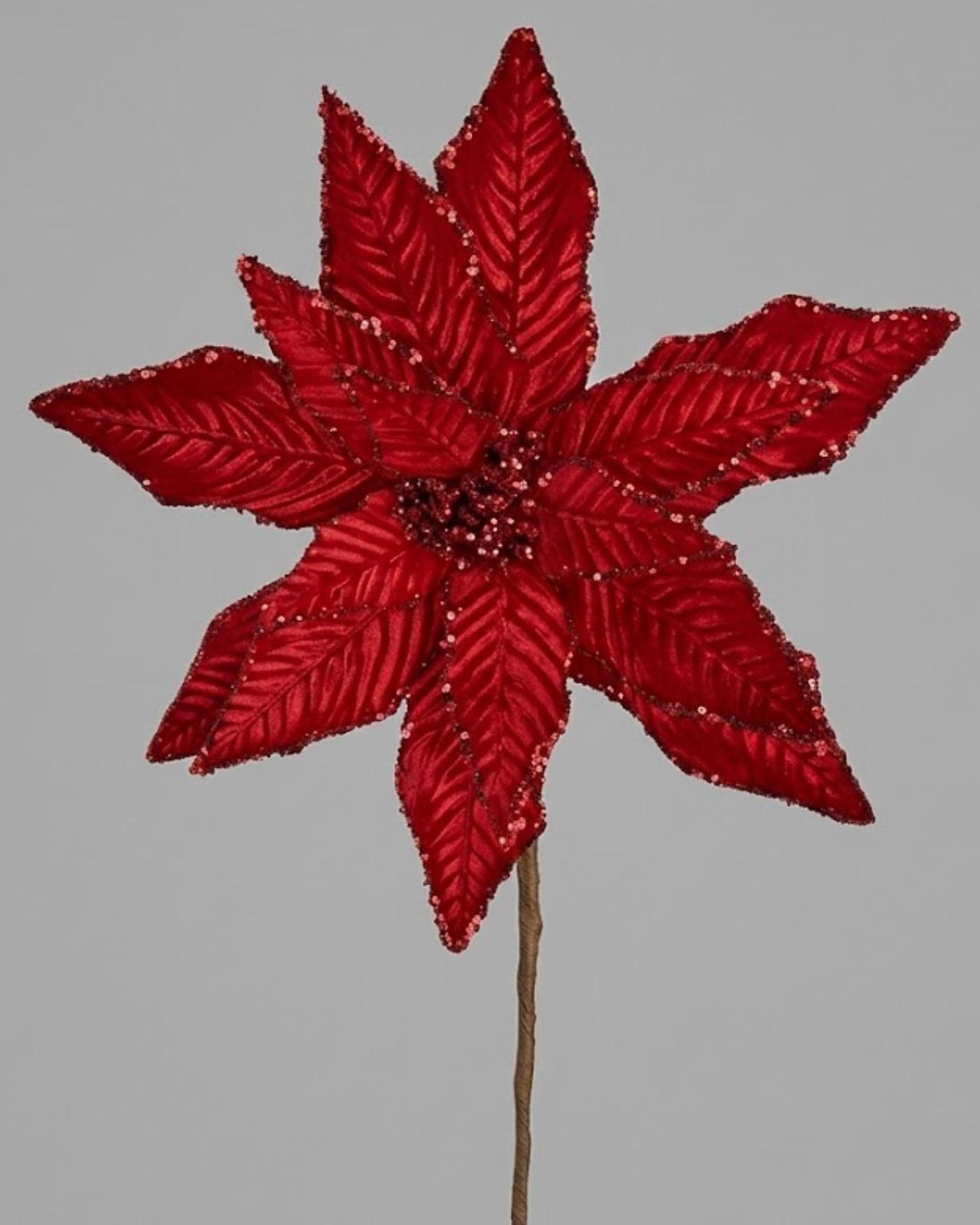 PONSETIA ROJA GRANDE_1