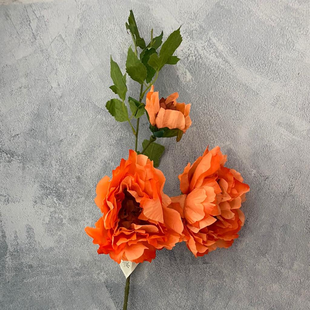 FLOR SARA _5