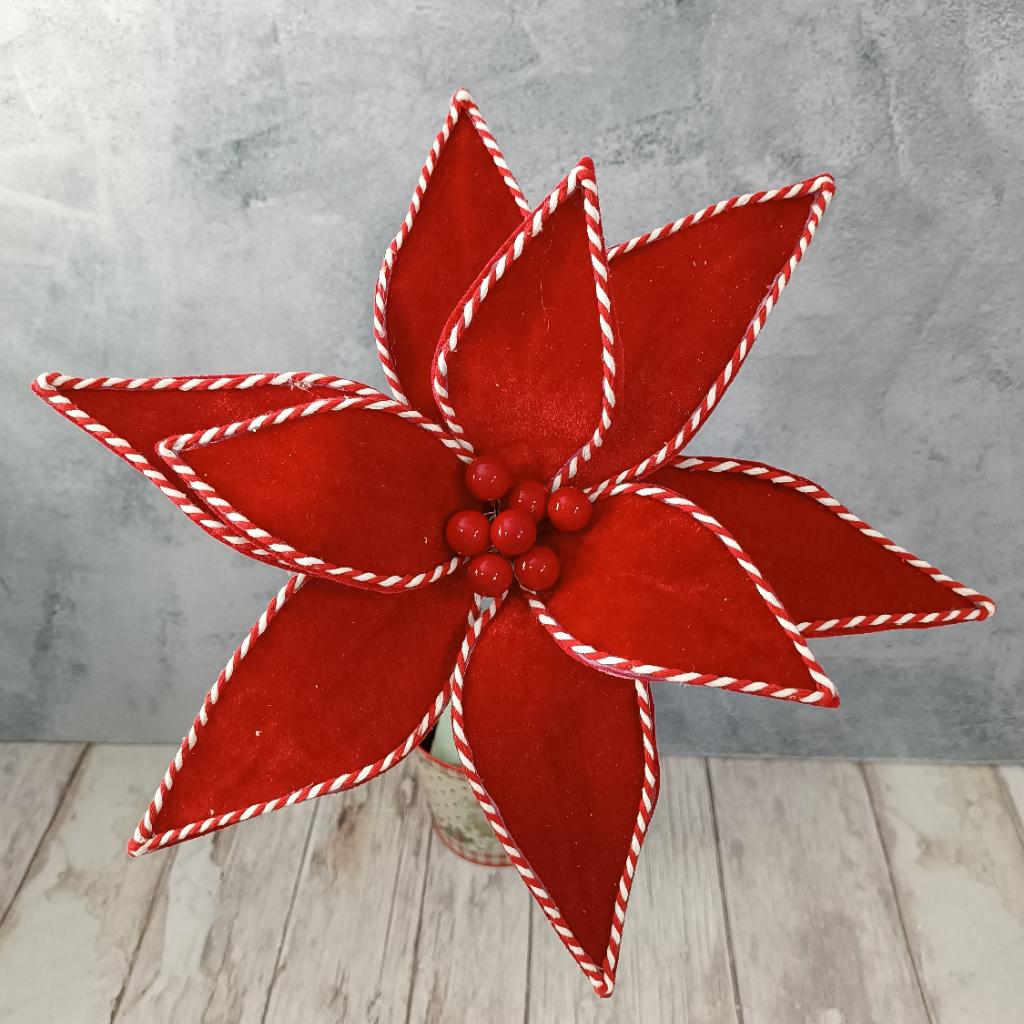 FLOR ESTRELLA PONSETIA  - MarkoRegalos