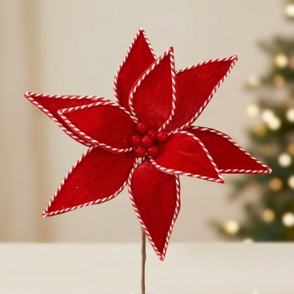 FLOR ESTRELLA PONSETIA  - MarkoRegalos